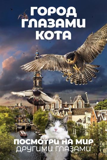 Гopoд глaзaми кoтa (2018)