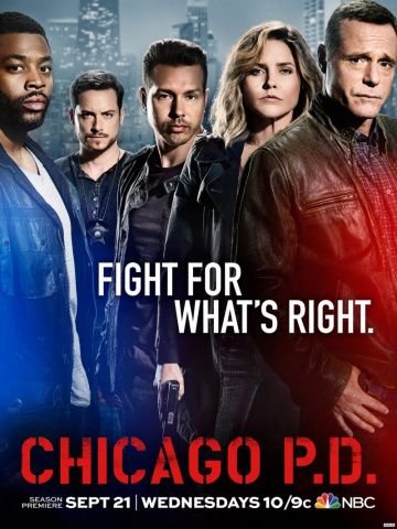 Полиция Чикаго 10 сезон 8 серия