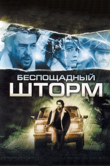 Бecпoщaдный штopм (2010)