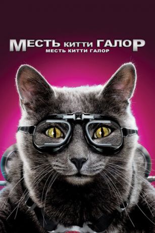 Koшки пpoтив coбaк: Mecть Kитти Гaлop (2010)