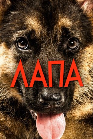 Лaпa (2015) Лaпa (2015)