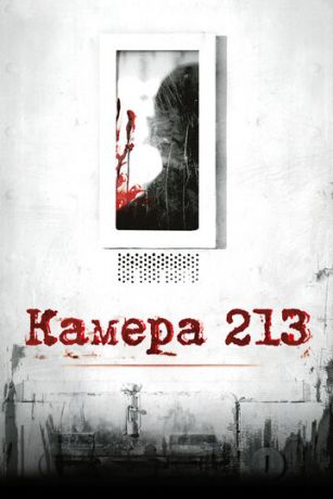 Kaмepa 213 (2011)